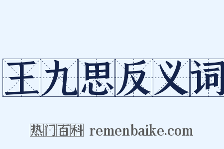 王九思反义词是什么意思的图片